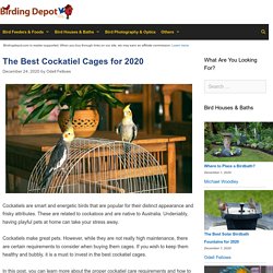 12 Best Cockatiel Cages Reviewed and Rated in 2020