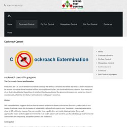 cockroach-control, Pest Control (09718519772)