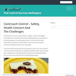 Cockroach Control – Safety, Health Concern And The Challenges
