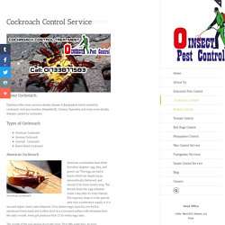Cockroach Control Service - Zero Insect Pest Control Services