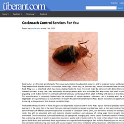 Cockroach Control Services For You