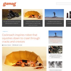 Cockroach inspires robot that squishes down to crawl through cracks and crevices