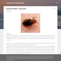 Cockroach Problem - Pest Control