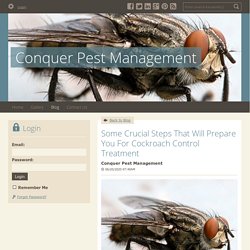 Some Crucial Steps That Will Prepare You For Cockroach Control Treatment