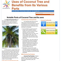 Uses of Coconut Tree and Benefits from Its Various Parts