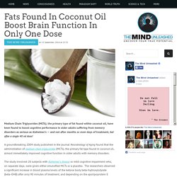 Fats Found In Coconut Oil Boost Brain Function In Only One Dose