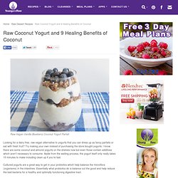 Raw Coconut Yogurt and 9 Healing Benefits of Coconut