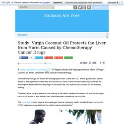 Study: Virgin Coconut Oil Protects the Liver from Harm Caused by Chemotherapy Cancer Drugs