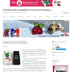 CodeBug, une petite carte rigolote