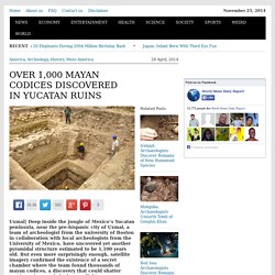 Over 1,000 Mayan Codices Discovered in Yucatan Ruins