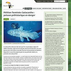 Cœlacanthe : poisson préhistorique en danger