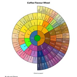 Coffee Flavour Wheel