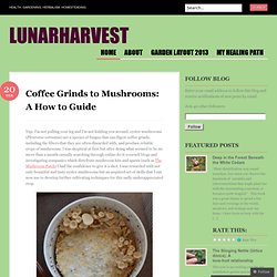 Coffee Grinds to Mushrooms: A How to Guide