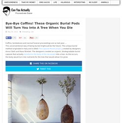 Bye-Bye Coffins! These Organic Burial Pods Will Turn You Into A Tree When You Die