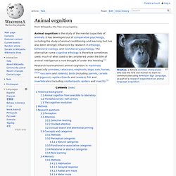 Animal cognition