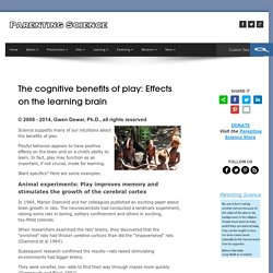 The cognitive benefits of play: Effects on the learning brain