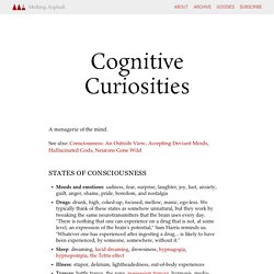 Cognitive Curiosities