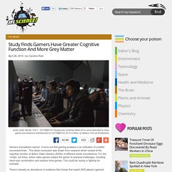 Study Finds Gamers Have Greater Cognitive Function And More Grey Matter
