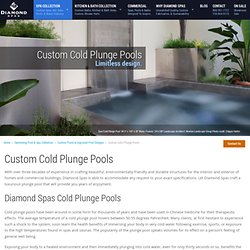 Cold Plunge Pools - Plunge Pool