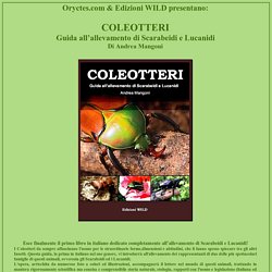 COLEOTTERI - Guida all'allevamento di Scarabeidi e Lucanidi