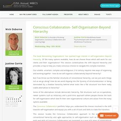 Conscious Collaboration- Self-Organisation Beyond Hierarchy