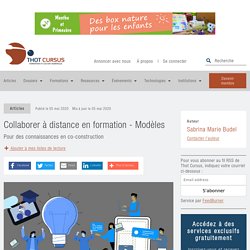 Collaborer à distance en formation - Modèles