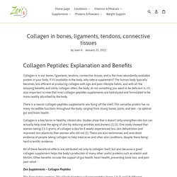 Collagen in bones, ligaments, tendons, connective tissues