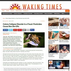 Colony Collapse Disorder Is a Fraud: Pesticides Cause Bee Die-Offs