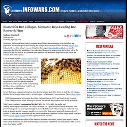 » Blamed for Bee Collapse, Monsanto Buys Leading Bee Research Firm Alex Jones