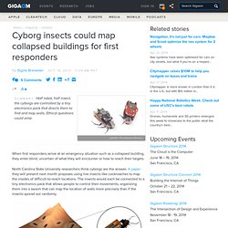 Cyborg insects could map collapsed buildings for first responders