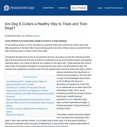 Are Dog E-Collars a Healthy Way to Track and Train Dogs?