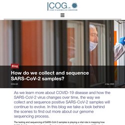 How do we collect and sequence SARS-CoV-2 samples? – COG-UK Consortium