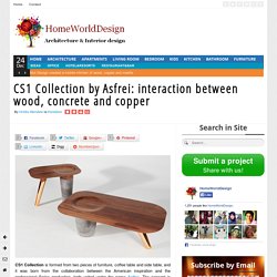 CS1 Collection: interaction between wood, concrete and copper