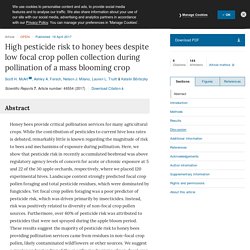 NATURE 19/04/17 High pesticide risk to honey bees despite low focal crop pollen collection during pollination of a mass blooming crop
