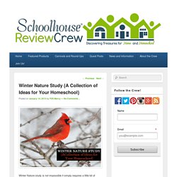 Winter Nature Study {A Collection of Ideas for Your Homeschool}