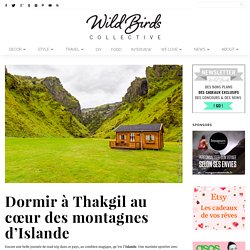 Wild Birds Collective » Blog lifestyle, décoration, diy, photographie, voyage, mode… » Dormir à Thakgil au cœur des montagnes d’Islande