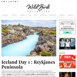 Wild Birds Collective » Blog lifestyle, décoration, diy, photographie, voyage, mode… » Iceland Day 1 : Reykjanes Peninsula