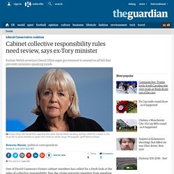 Cabinet collective responsibility rules need review, says ex-Tory minister