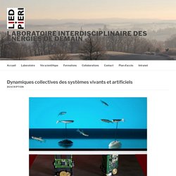 Dynamiques collectives des systèmes vivants et artificiels – Laboratoire Interdisciplinaire des Energies de Demain