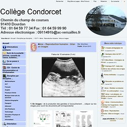 Collège Condorcet - 4ème - Reproduction humaine : bilan en images