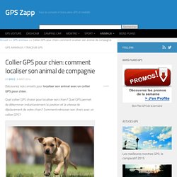 Collier GPS pour chien: comment localiser son animal