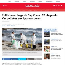 Collision au large du Cap Corse : 37 plages du Var polluées aux hydrocarbures