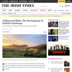 Collops and fíbíns: The lost language of Ireland’s landscape