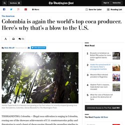 Colombia is again the world’s top coca producer. Here’s why that’s a blow to the U.S.