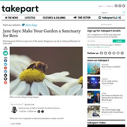 Jane Says: Make Your Garden a Sanctuary for Bees