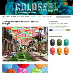A Canopy of Colorful Umbrellas Spotted in Portugal