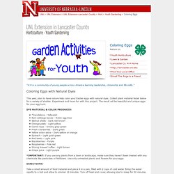 Coloring Eggs with Natural Dyes - Youth Activity