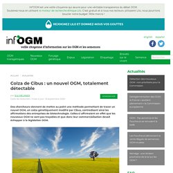 INFOGM 08/09/20 Colza de Cibus : un nouvel OGM, totalement détectable