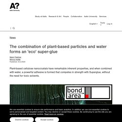The combination of plant-based particles and water forms an 'eco' super-glue