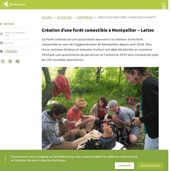 Création d’une forêt comestible à Montpellier – Lattes